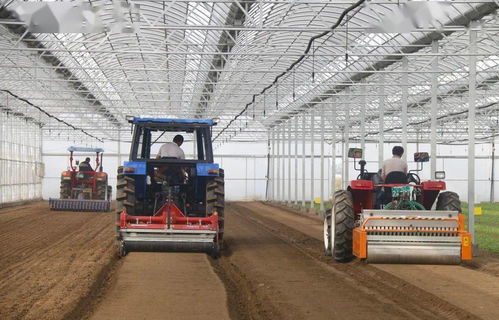 五四星辉蔬菜获评全国首批“生态农场”称号，引领绿色农业新风尚